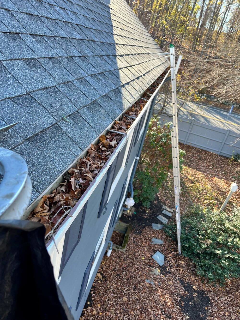 The Dirty Truth About Ignoring Gutter Cleaning (And How to Fix It)