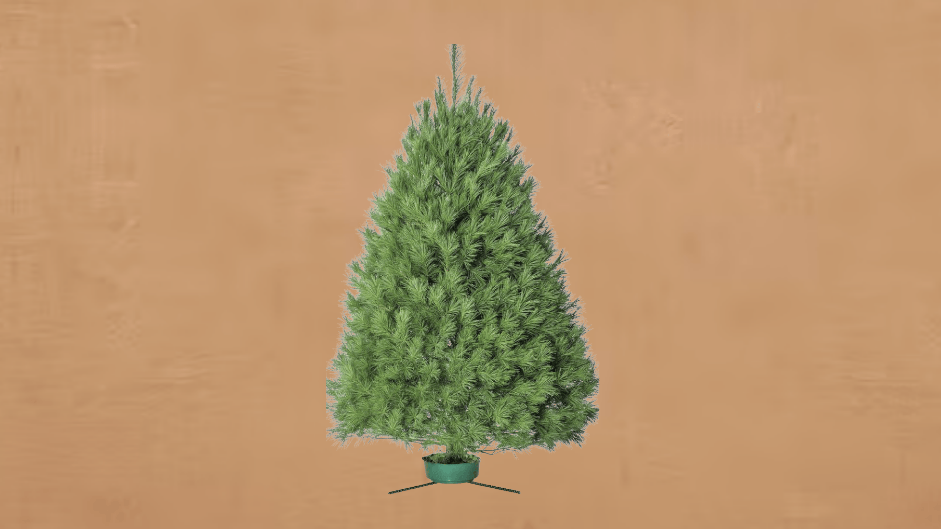 White Pine Natural Look