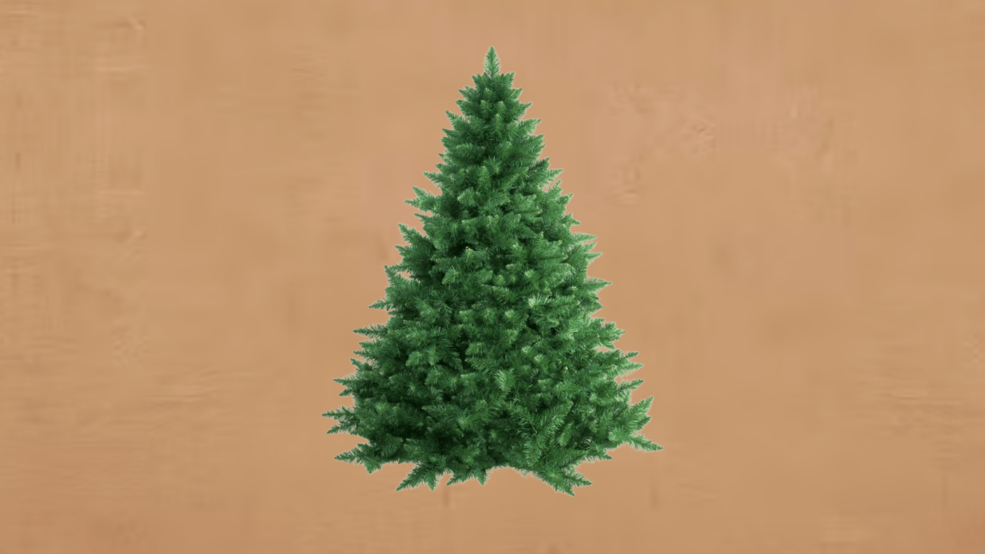 douglas fir budget friendly classic