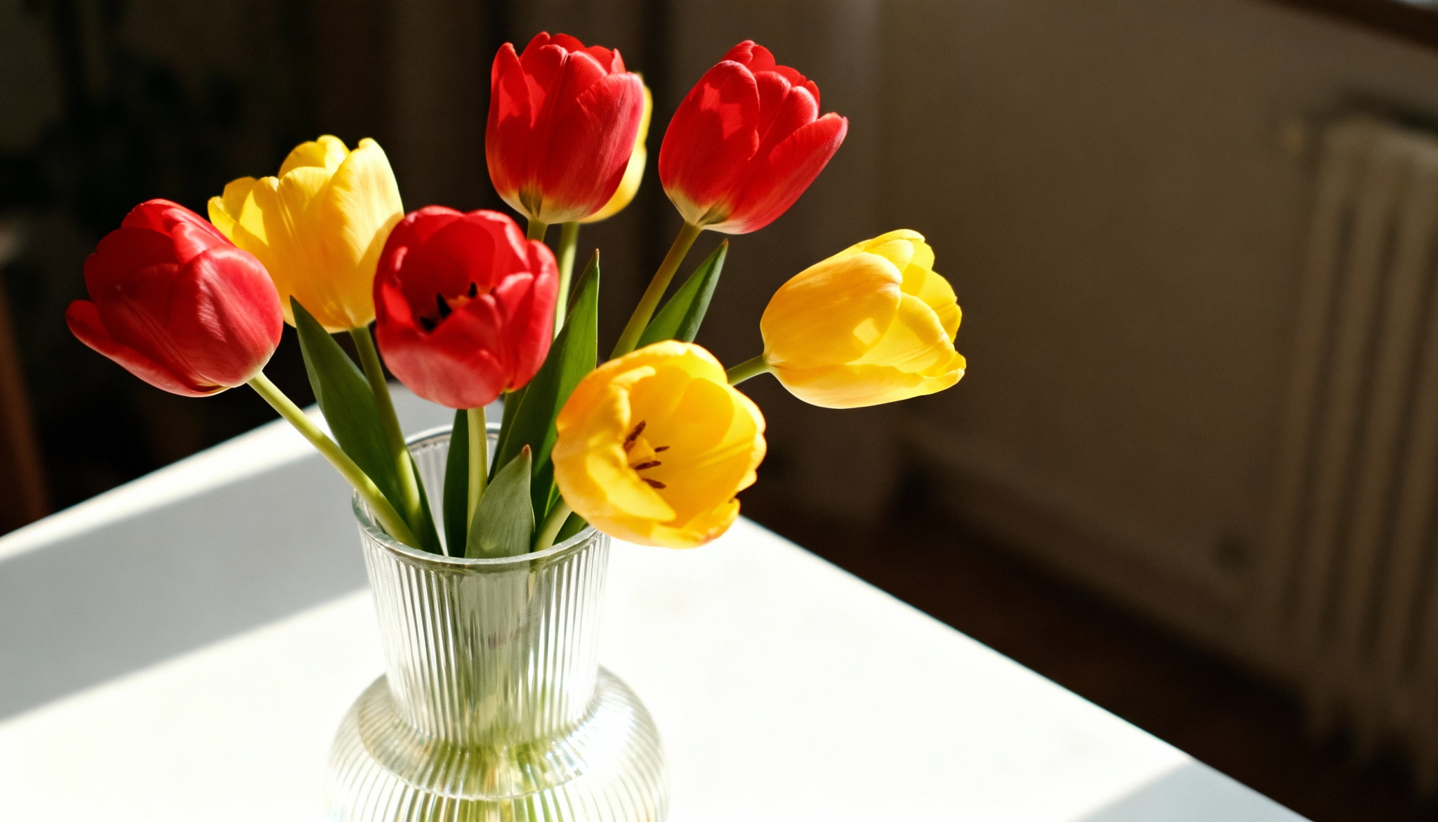 how to make tulips last longer