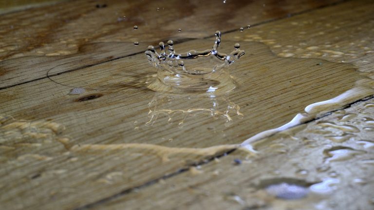 Water Damage Restoration Services: Providers and Solutions for Your Home