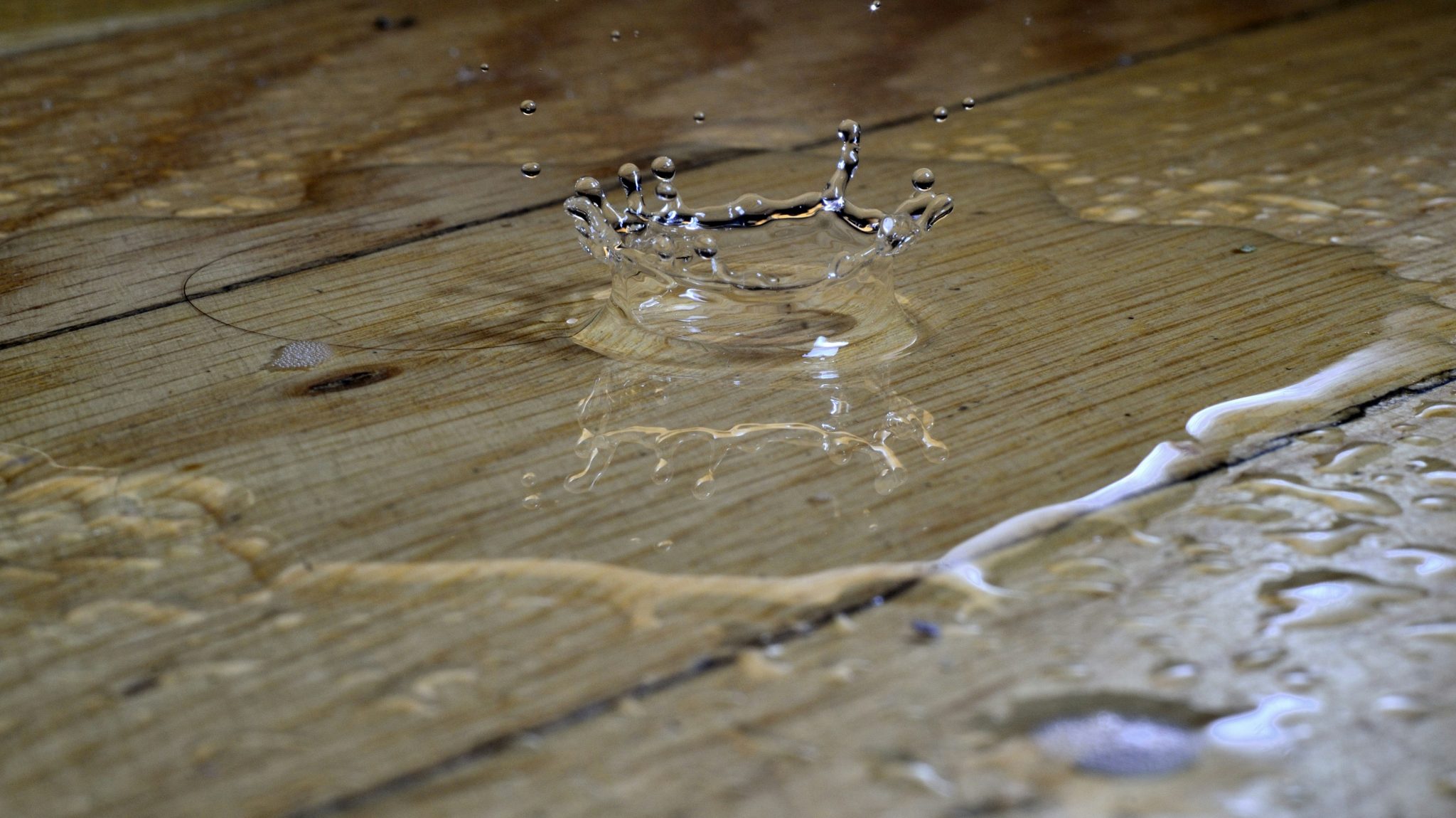 Water Damage Restoration Services: Providers and Solutions for Your Home