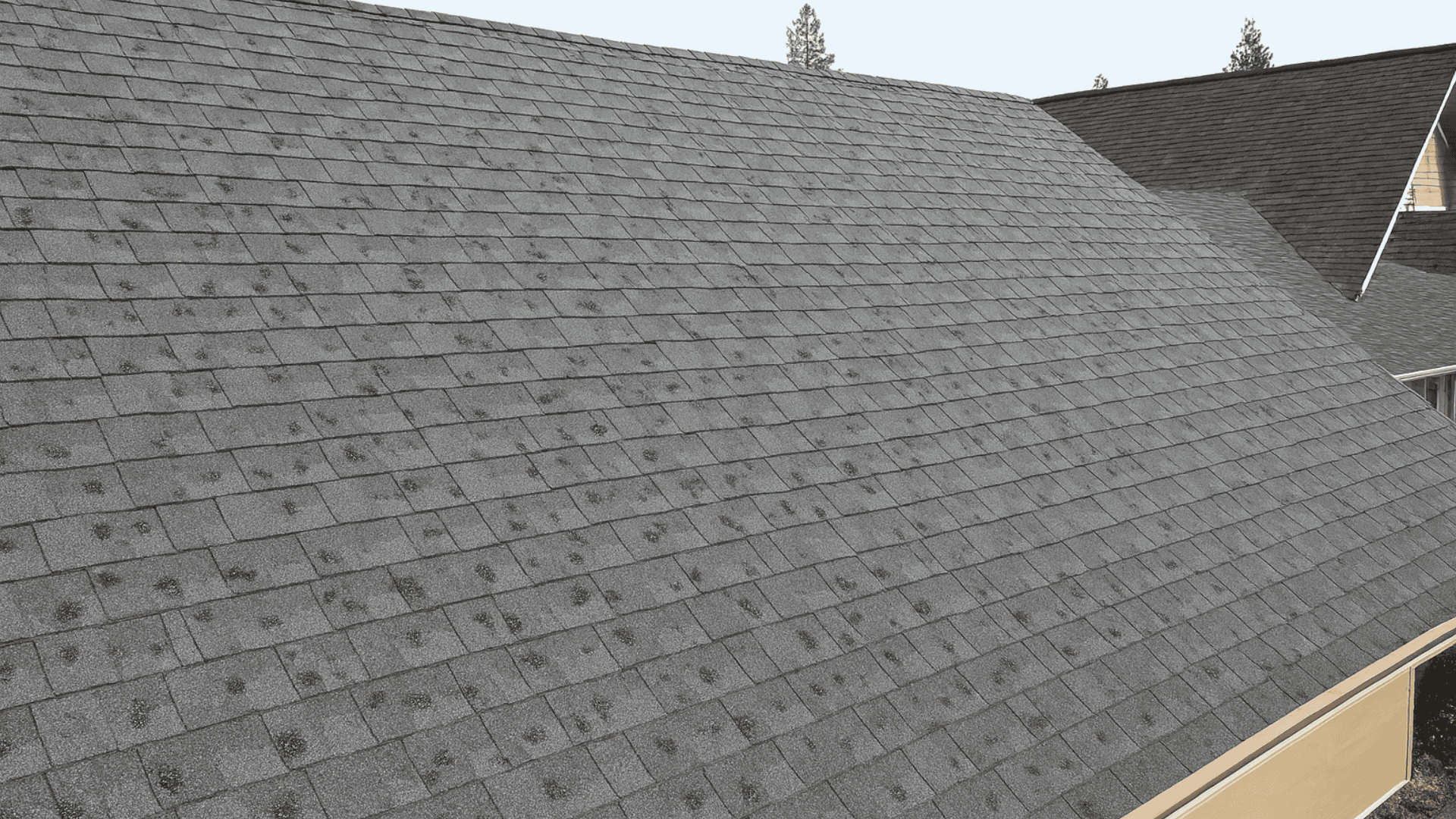 what does hail damage look like on asphalt shingle roofs