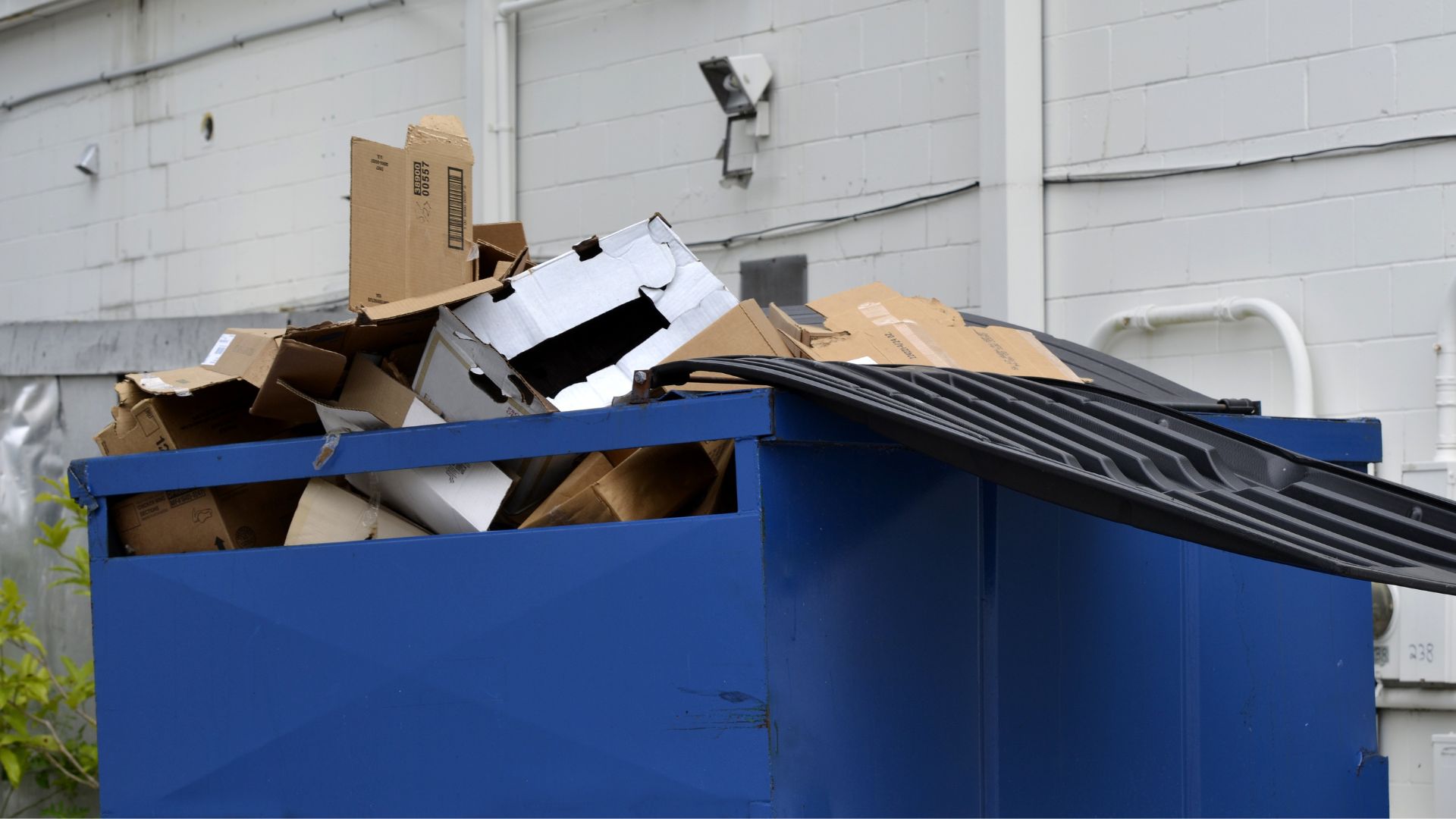 roll-off dumpster rental for small spaces