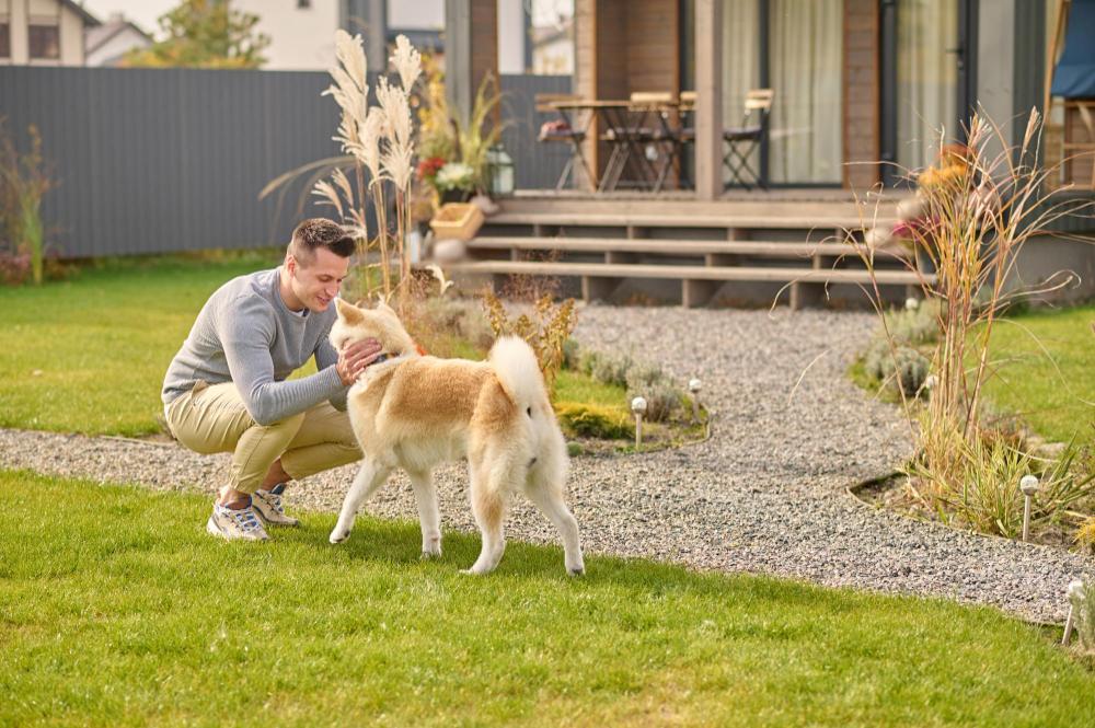 How Pet Owners Maintain Clean Patios, Yards, and Walking Areas (5 Practical Tips)