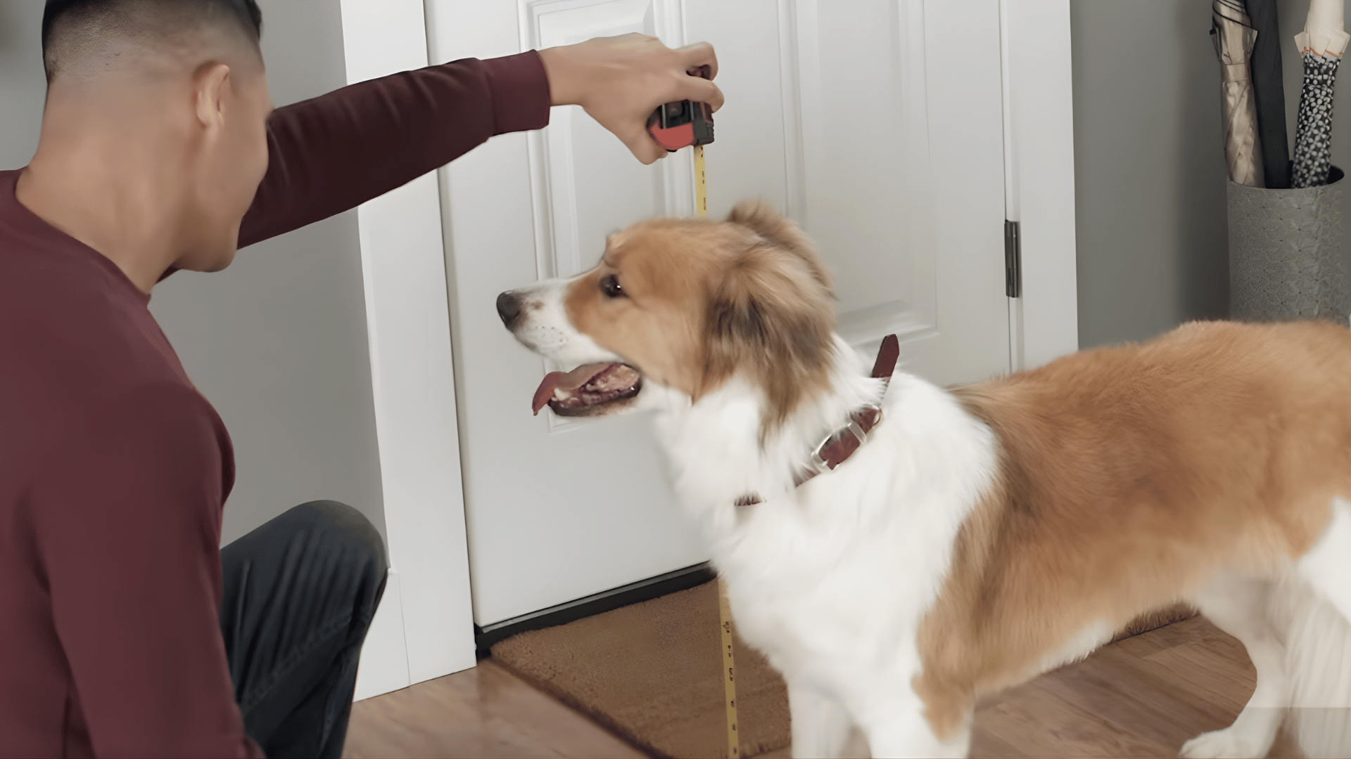 Choose the Right Door Size