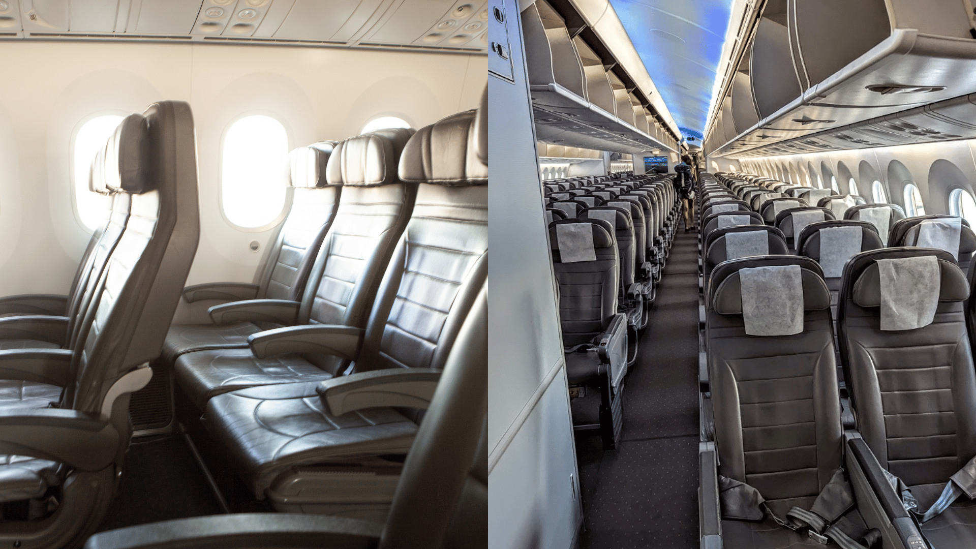 Economy Class Experience