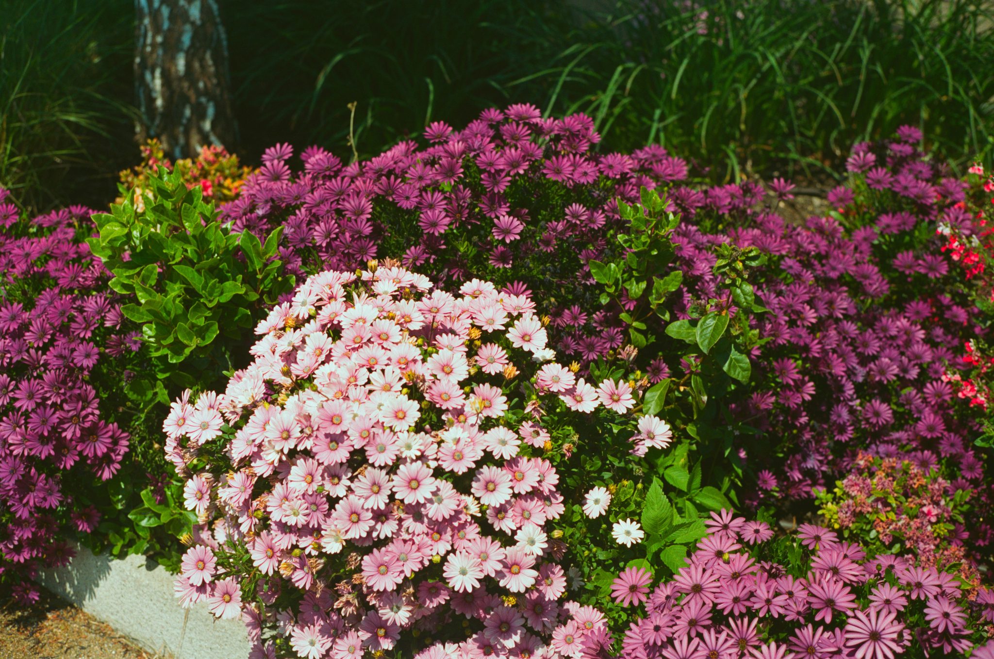 Clean Aesthetic Outdoors