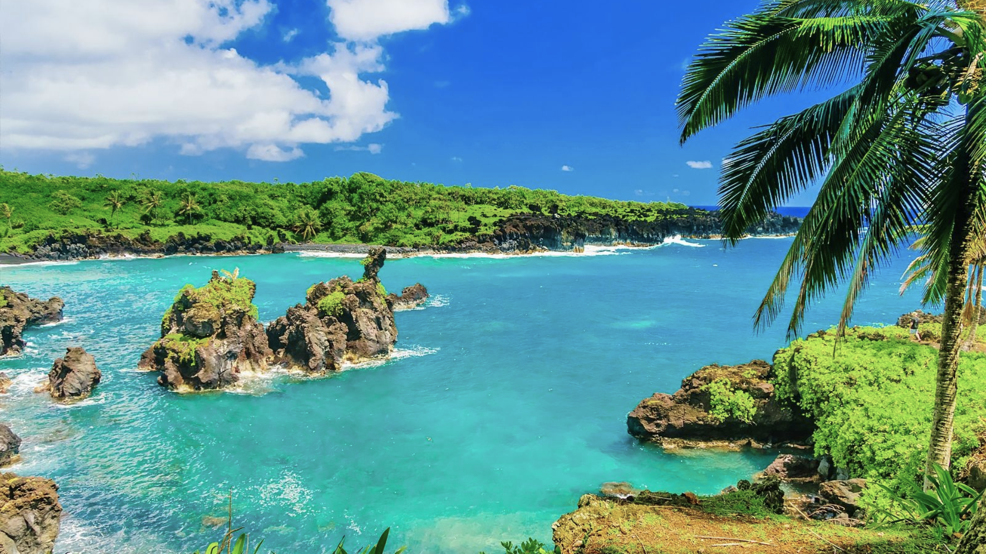 maui best family vacation spots