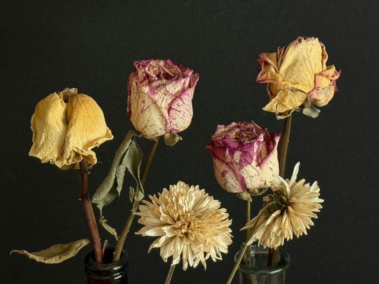 Archival Flower Preservation