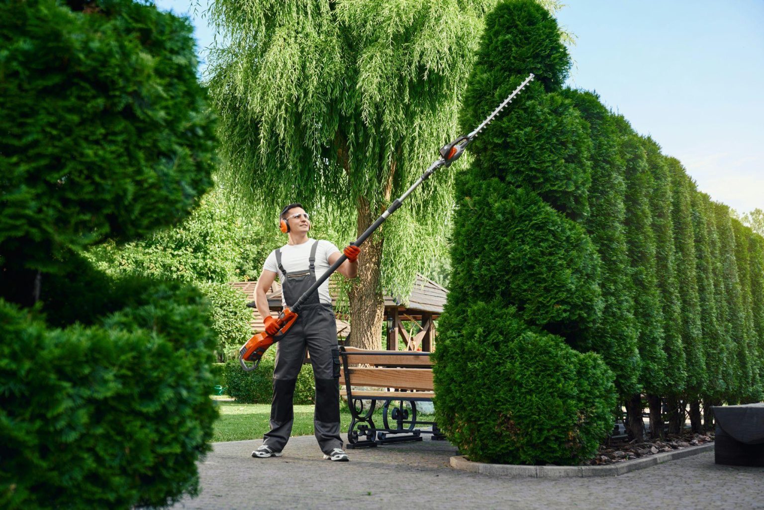 What Is Landscaping? A Complete Guide to Design, Function, and Modern ...