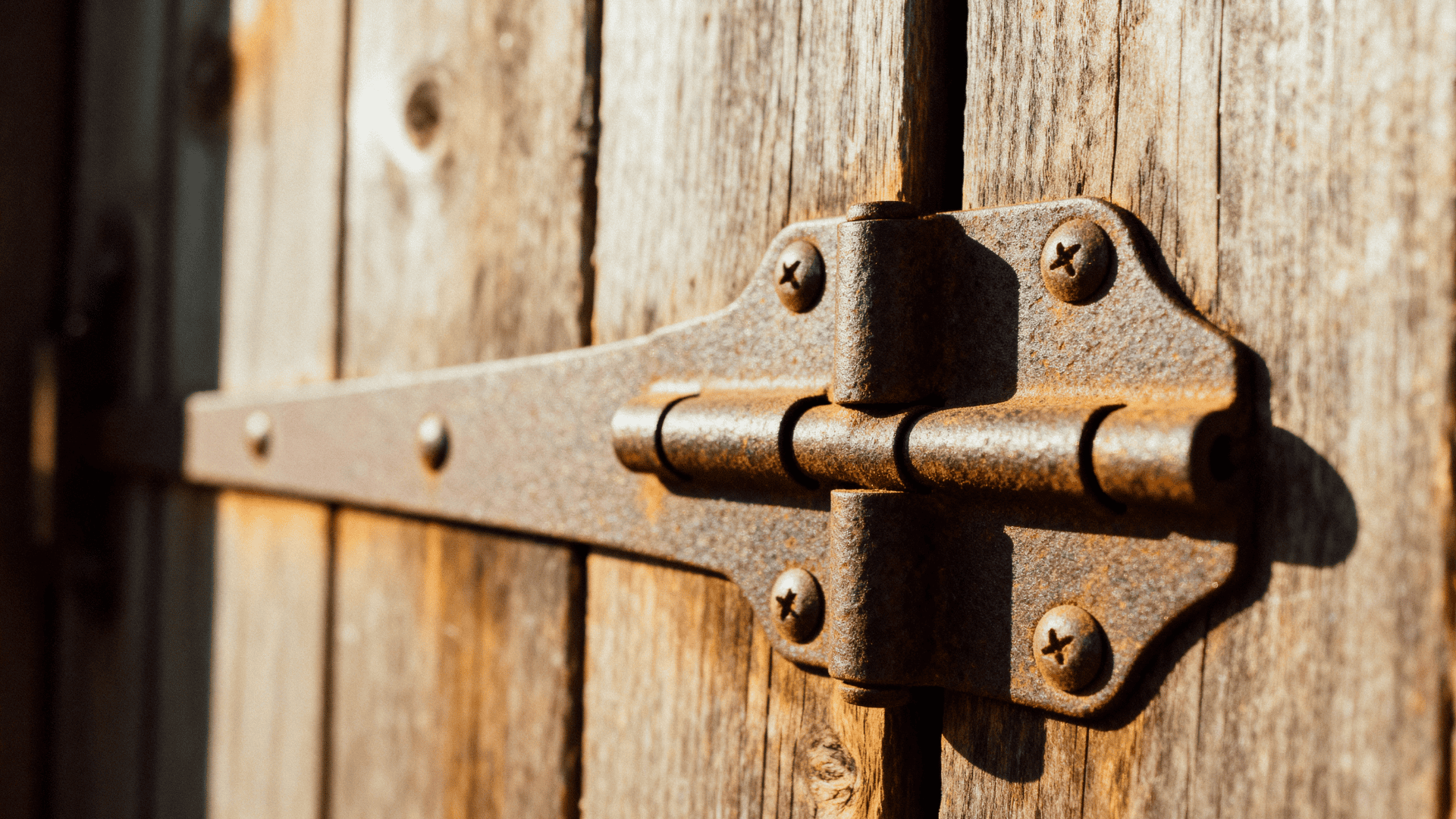 Close up of a rusty offset strap hinge on a weathered wooden door, with screws and metal texture highlighted by sunlight.