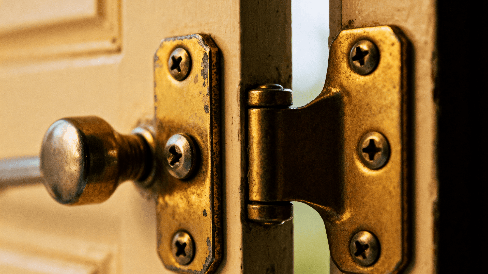 Close up of a vintage brass double action hinge on a painted door, showing worn metal, screws, and a round door knob in warm light.