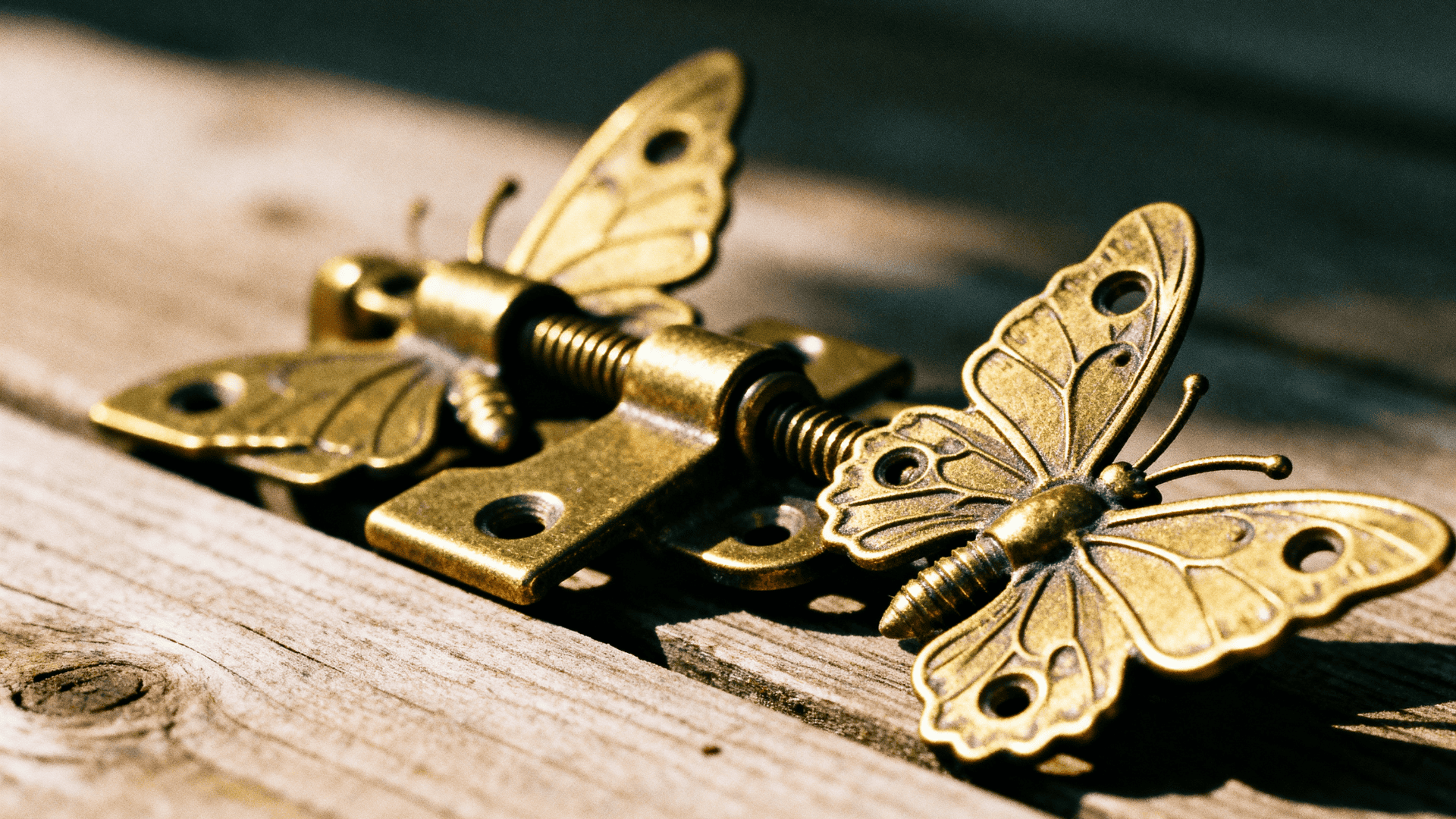 Close up of decorative brass butterfly hinges resting on weathered wood, with detailed wing engravings and warm natural light.
