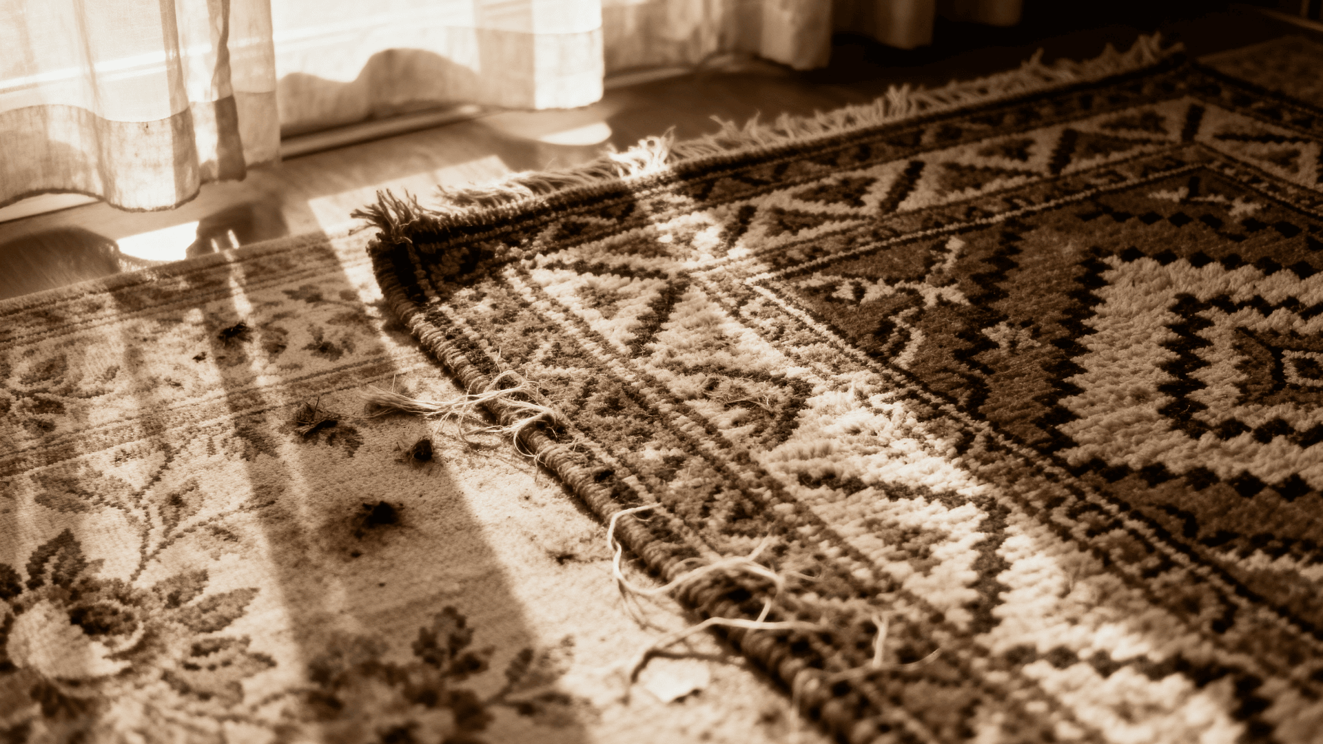 Close-up of patterned rug layered over floral carpet, sunlight through sheer curtains highlighting texture and frayed edges.