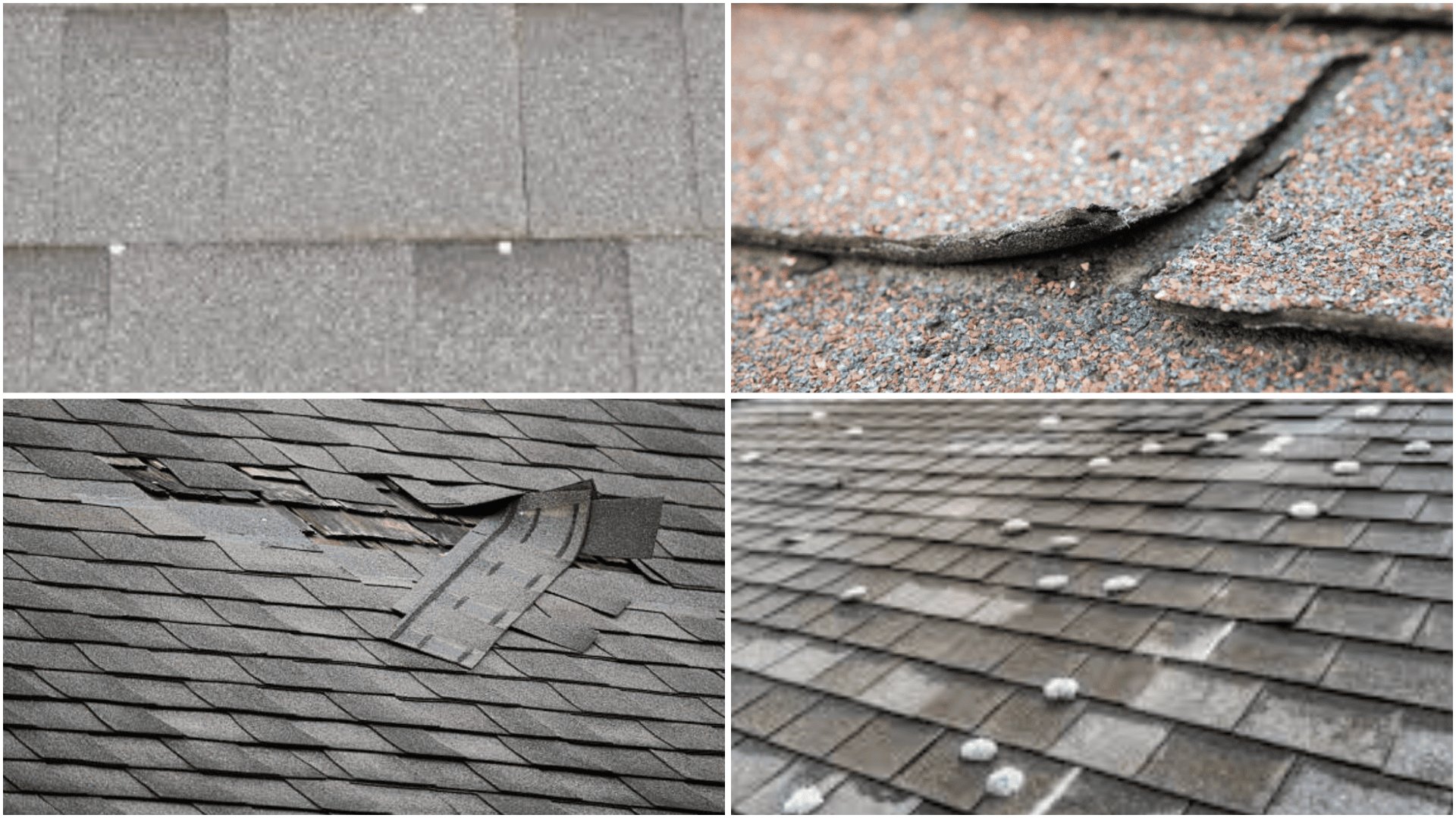 Collage of asphalt roof shingles showing close-ups of wear, curling edges, missing sections, and hail impact damage on a gray roof.