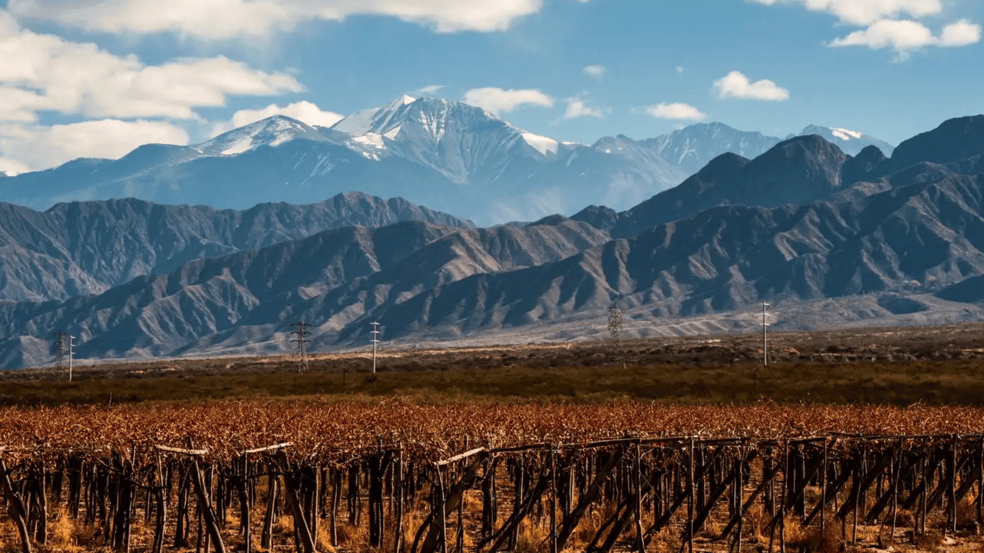 Vineyard rows in a dry valley with bare vines, set against rugged foothills and snow capped Andes mountains under a clear blue sky.