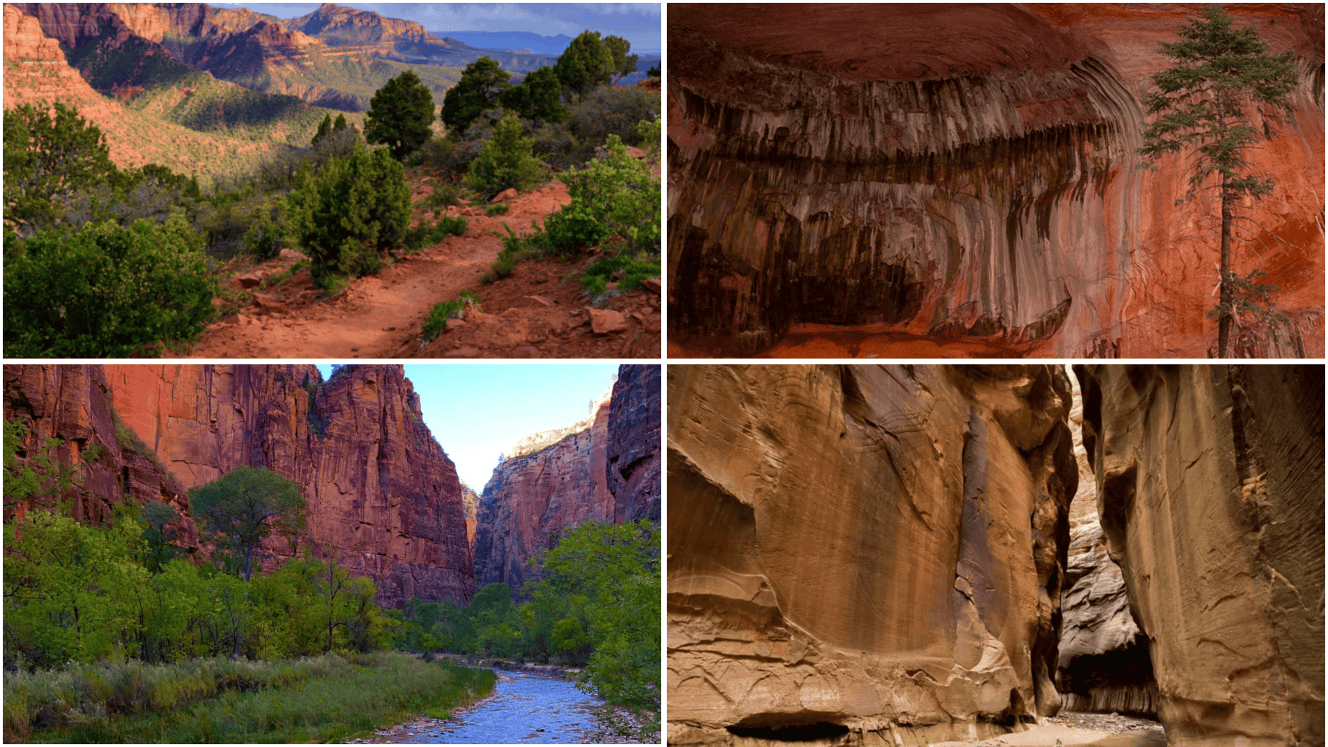 best hikes in zion national park (1)
