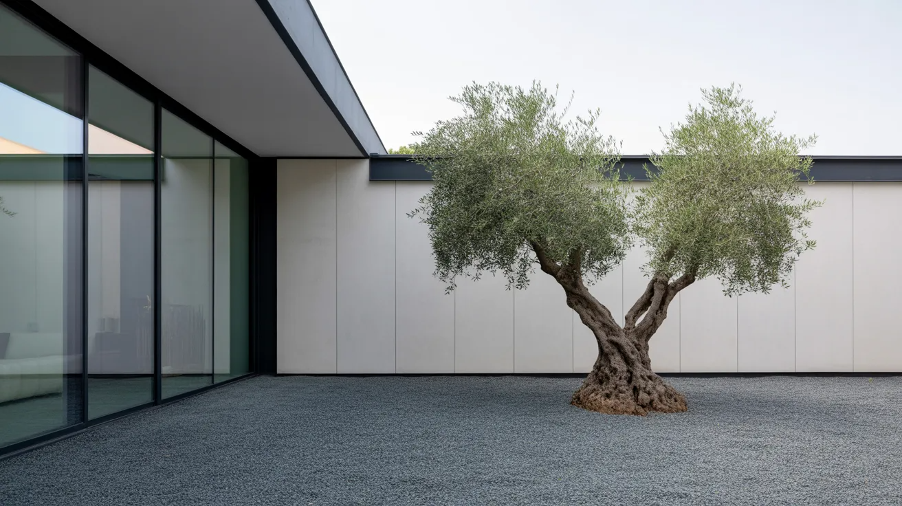 modern landscape design featuring a single sculptural tree placed in gravel with open space and minimal surrounding plants