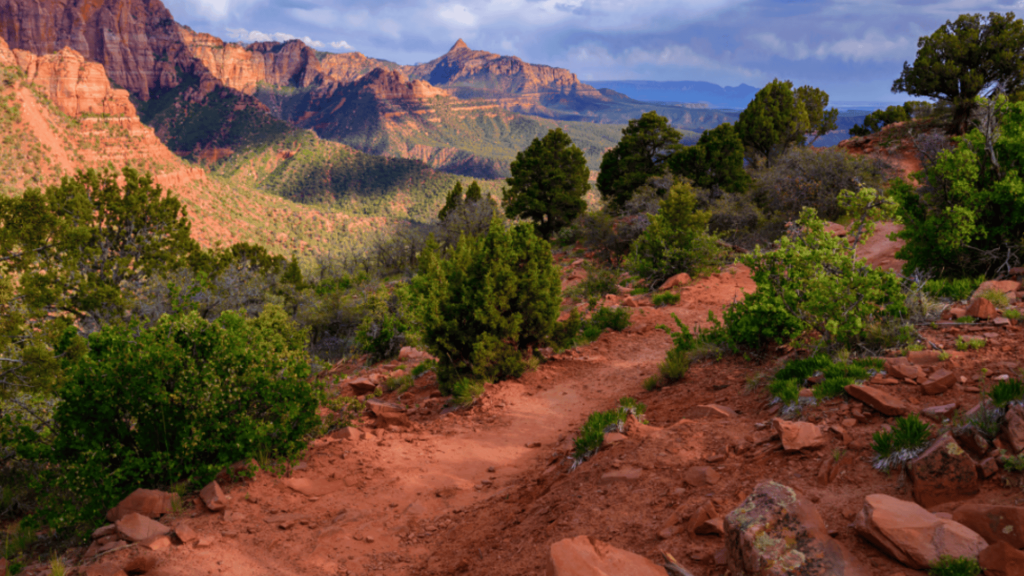timber creek overlook trail