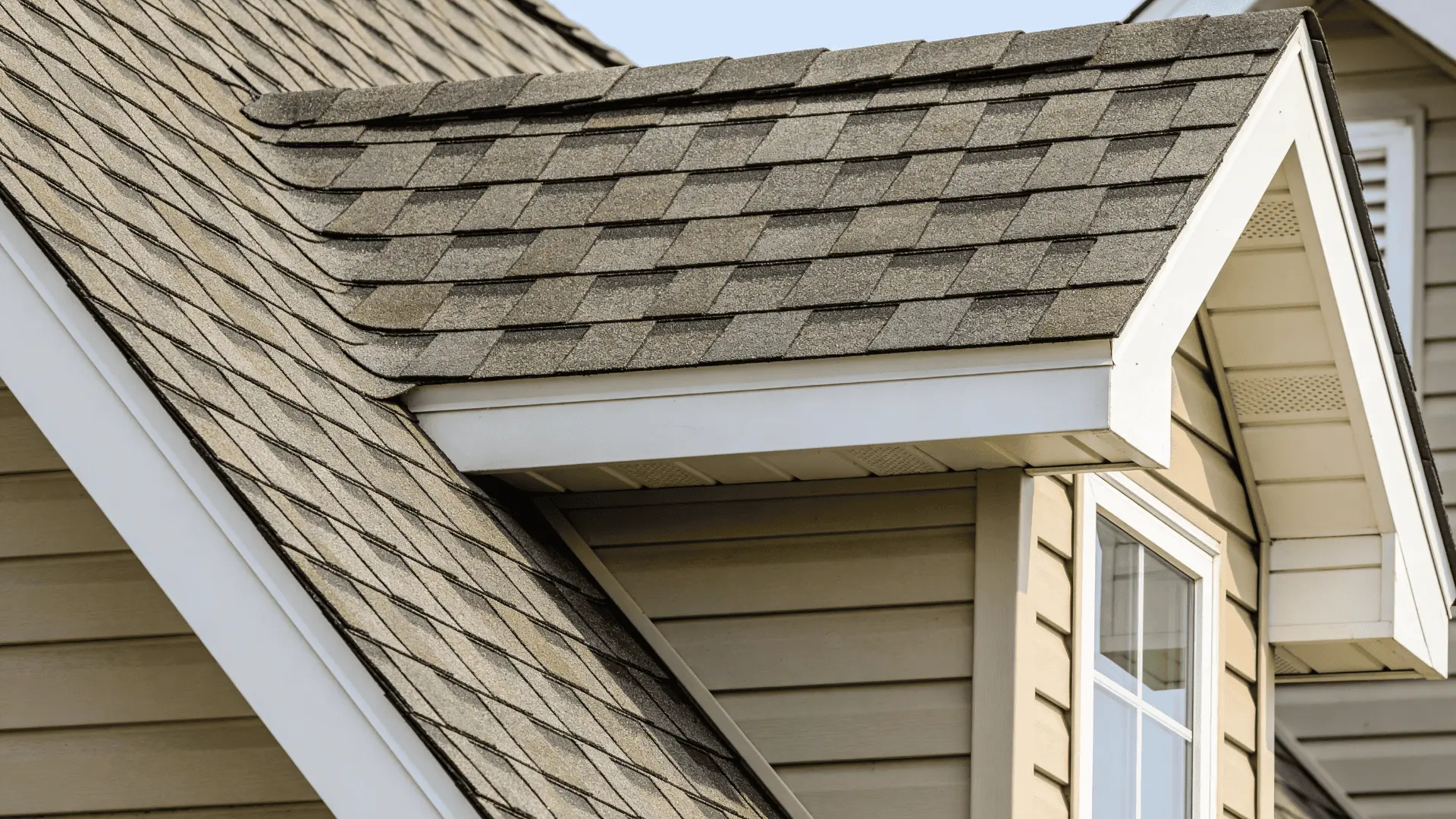 Asphalt shingles installed on a residential roof showing layered pattern and surface detail