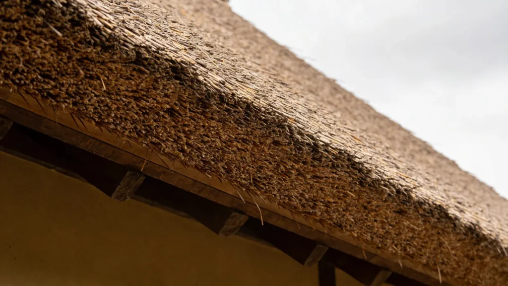 Close view of layered thatched roof showing thickness and slope