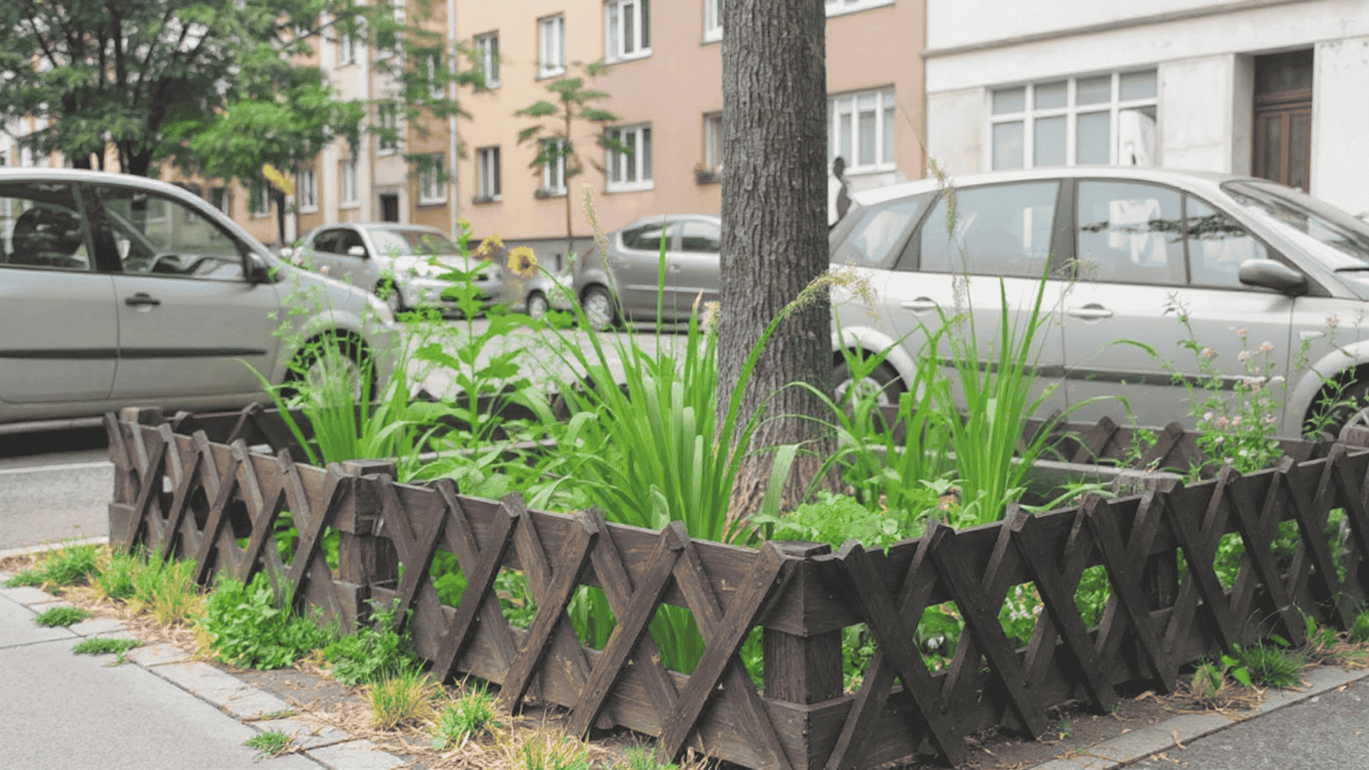 Small urban garden around a tree with wooden fence, green plants, and flowers, set along a street with parked cars and buildings