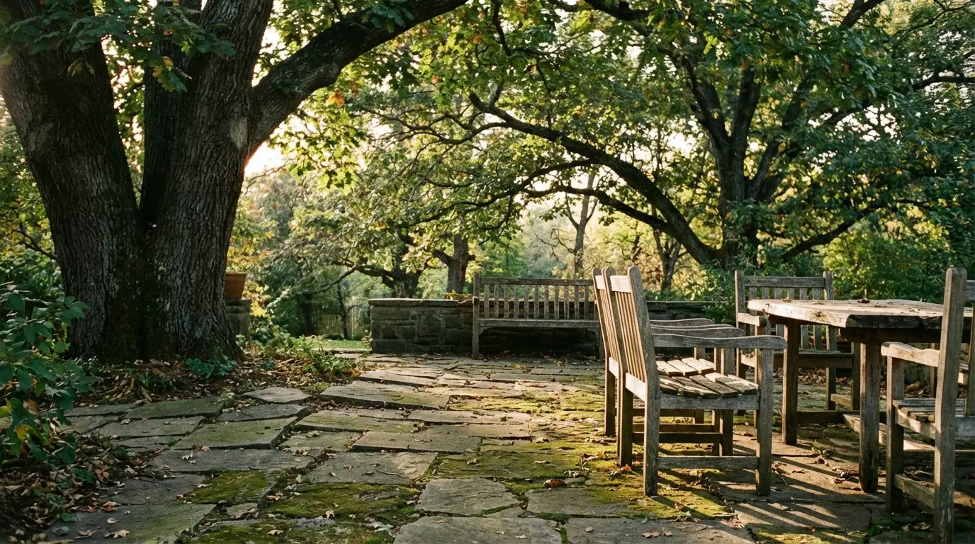 Wooden outdoor furniture on a stone patio under large trees with dappled sunlight
