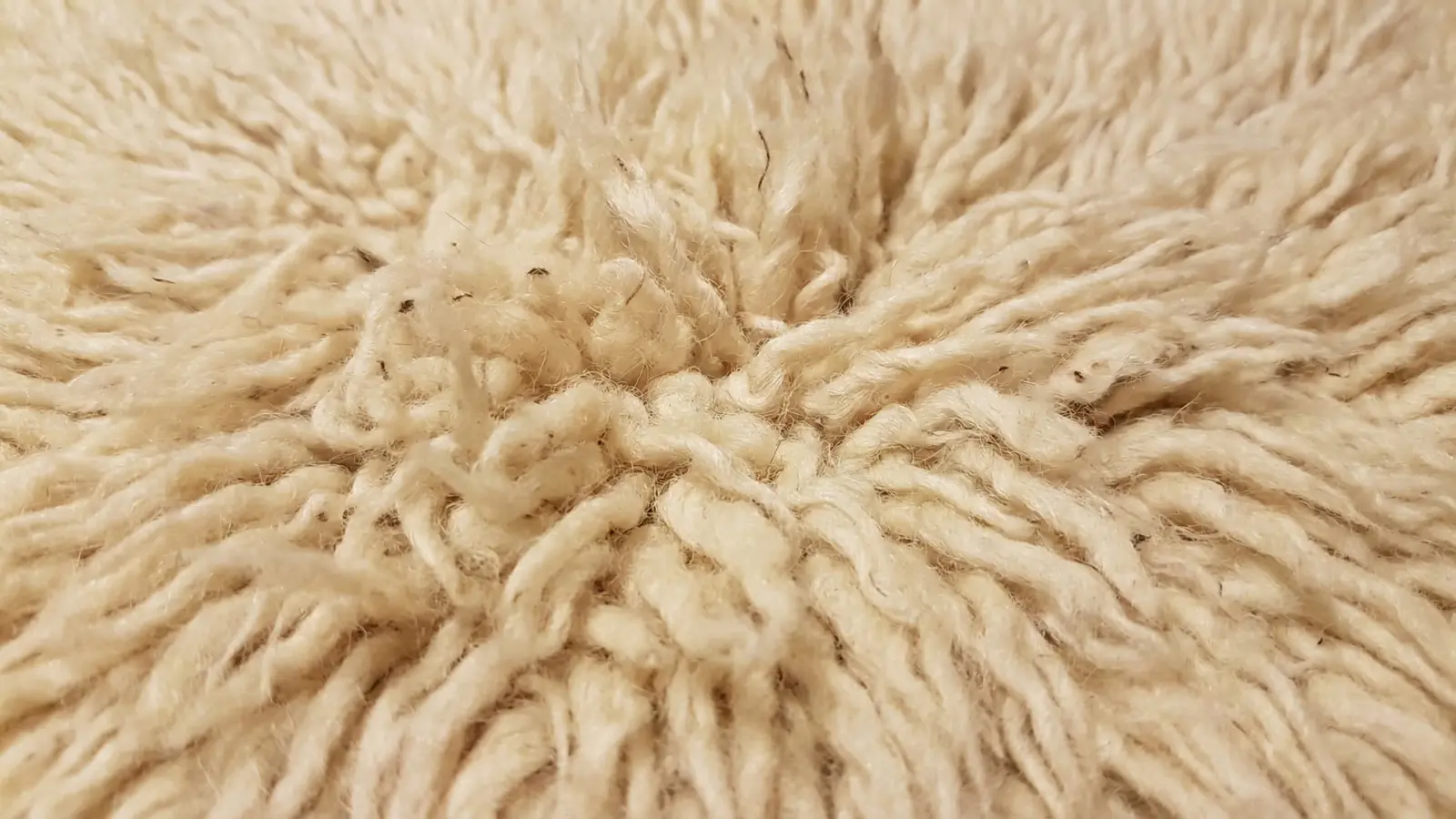 close-up of natural wool carpet fibers with rich and textured surface in cream tone