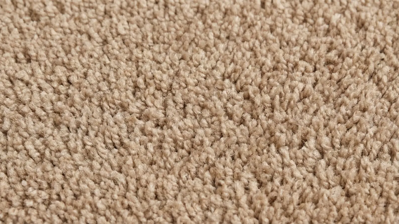 close-up of smooth saxony carpet fibers in beige
