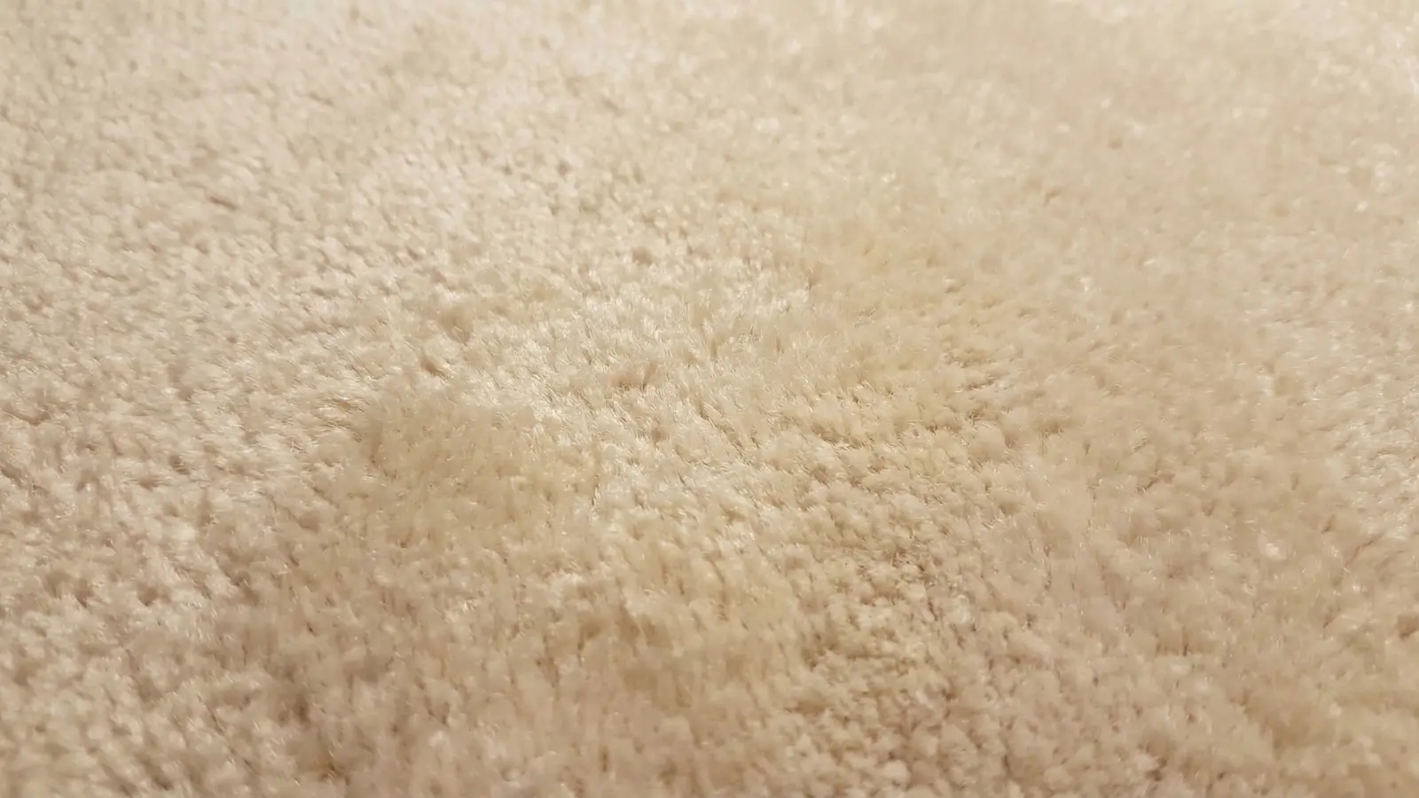 close-up of soft plush carpet fibers in cream