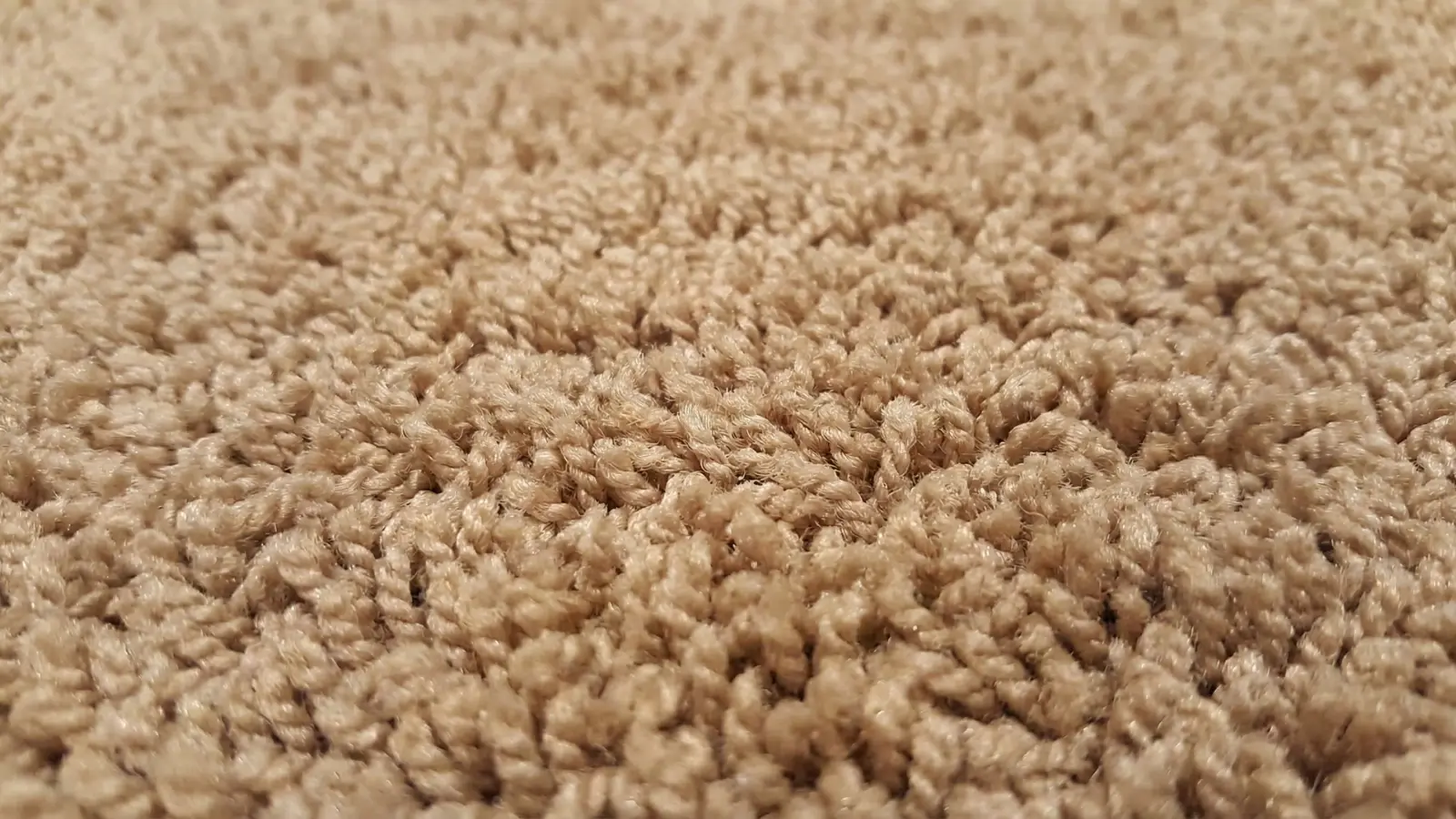 close-up of triexta carpet fibers with soft and dense surface in warm beige tone