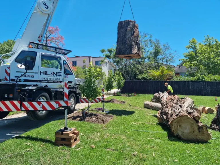 Crane lifting large tree trunk in a sunny backyard with green grass and blue sky