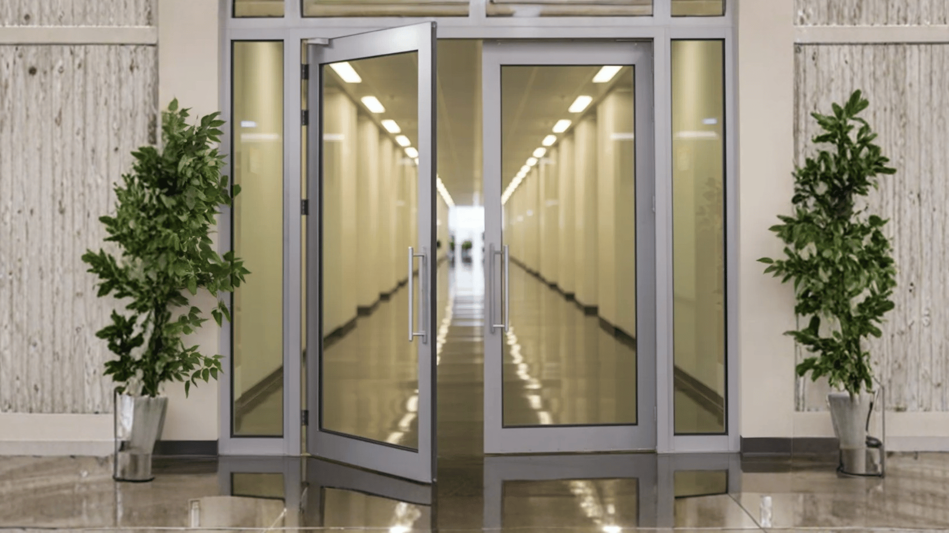 modern double glass door opening into a hallway, with sleek silver handles on each door, flanked by plants on either side