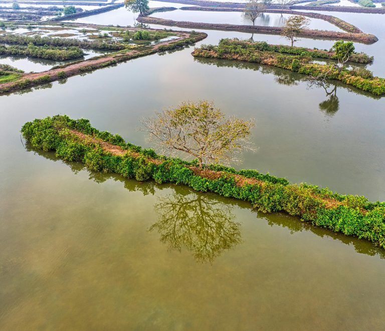 Effective de-icers for winter pond care