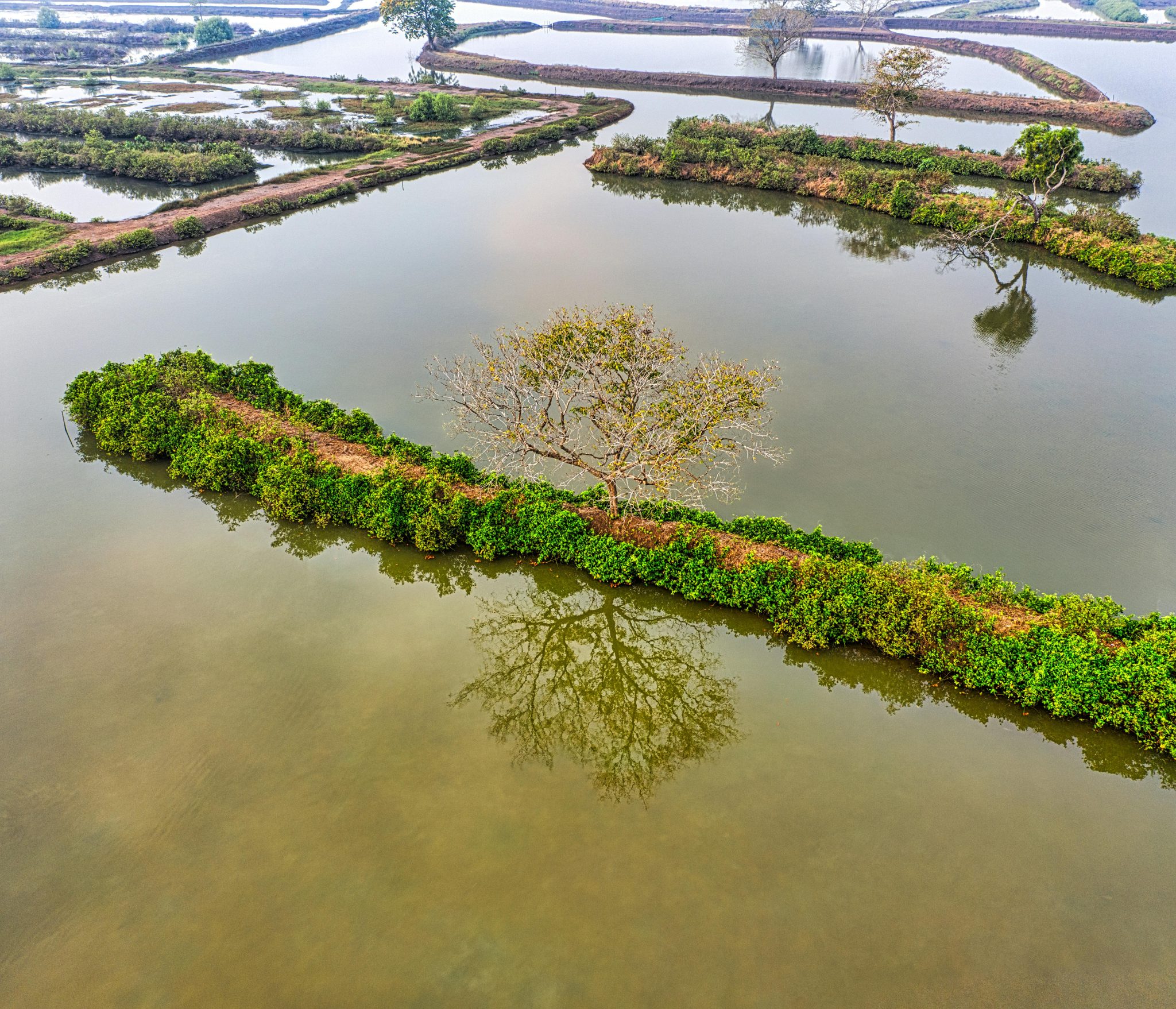 Effective de-icers for winter pond care