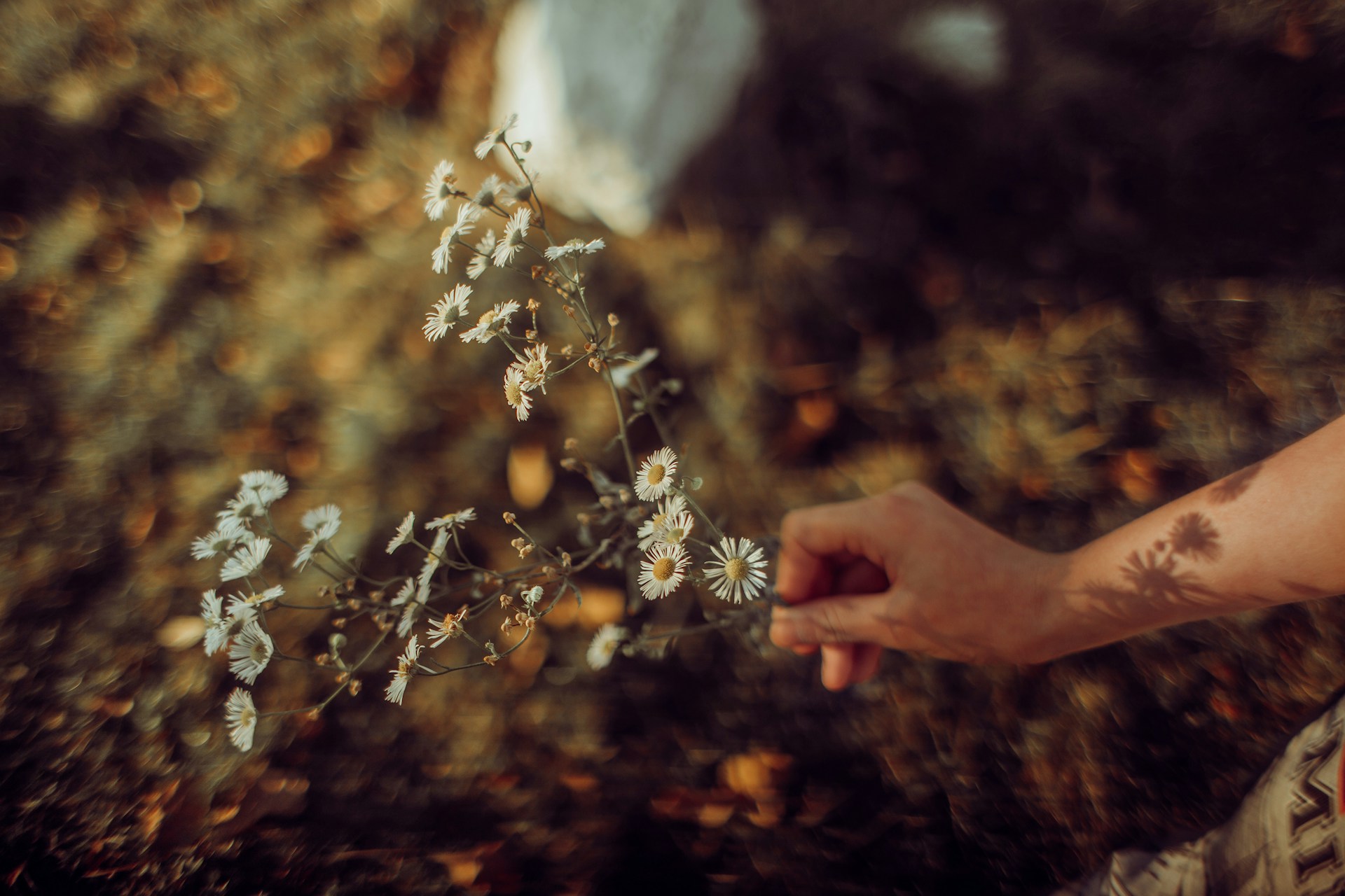 Fine Art Photography