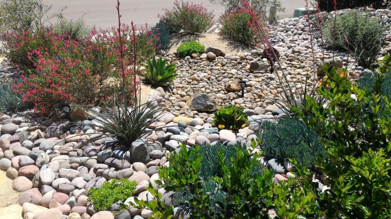 Low-Water Landscaping for Calgary Homes by Tazscapes