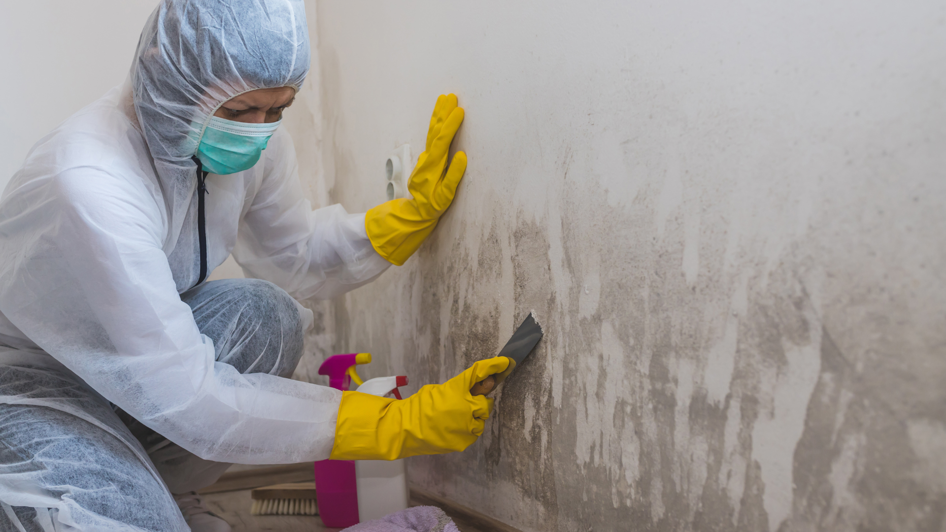 Mold Testing In Protecting Indoor Air Quality