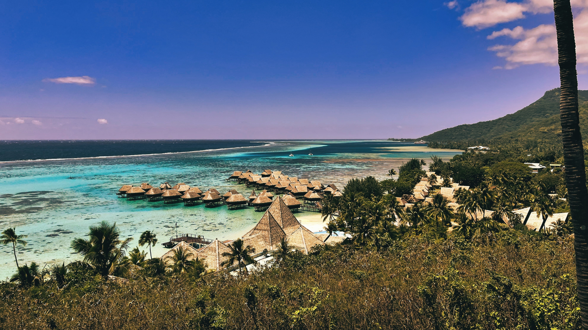 Oregon Coast Adventures