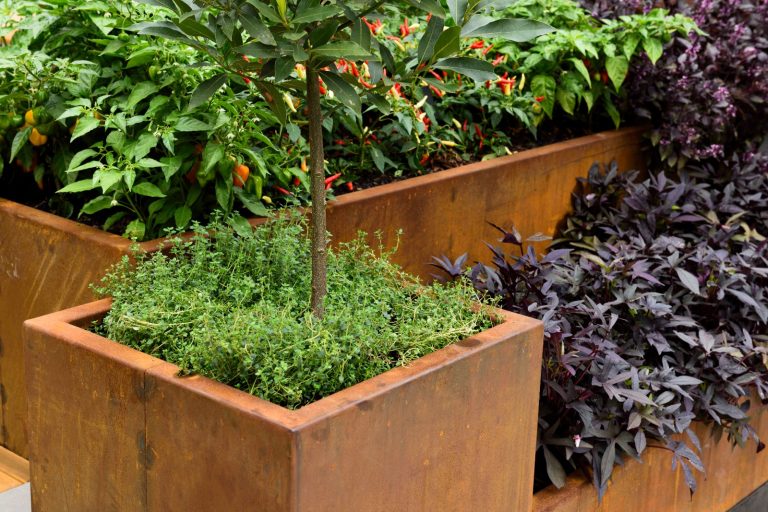 Modern Garden Edging