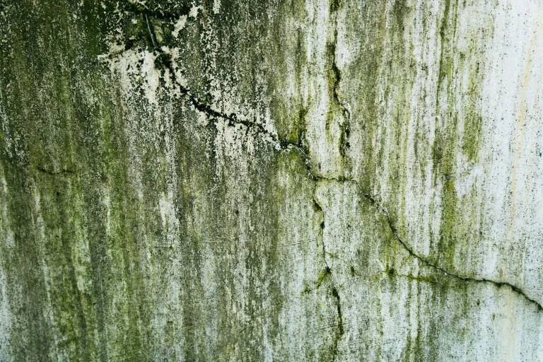 Cracked concrete wall with green moss stains and textured surface