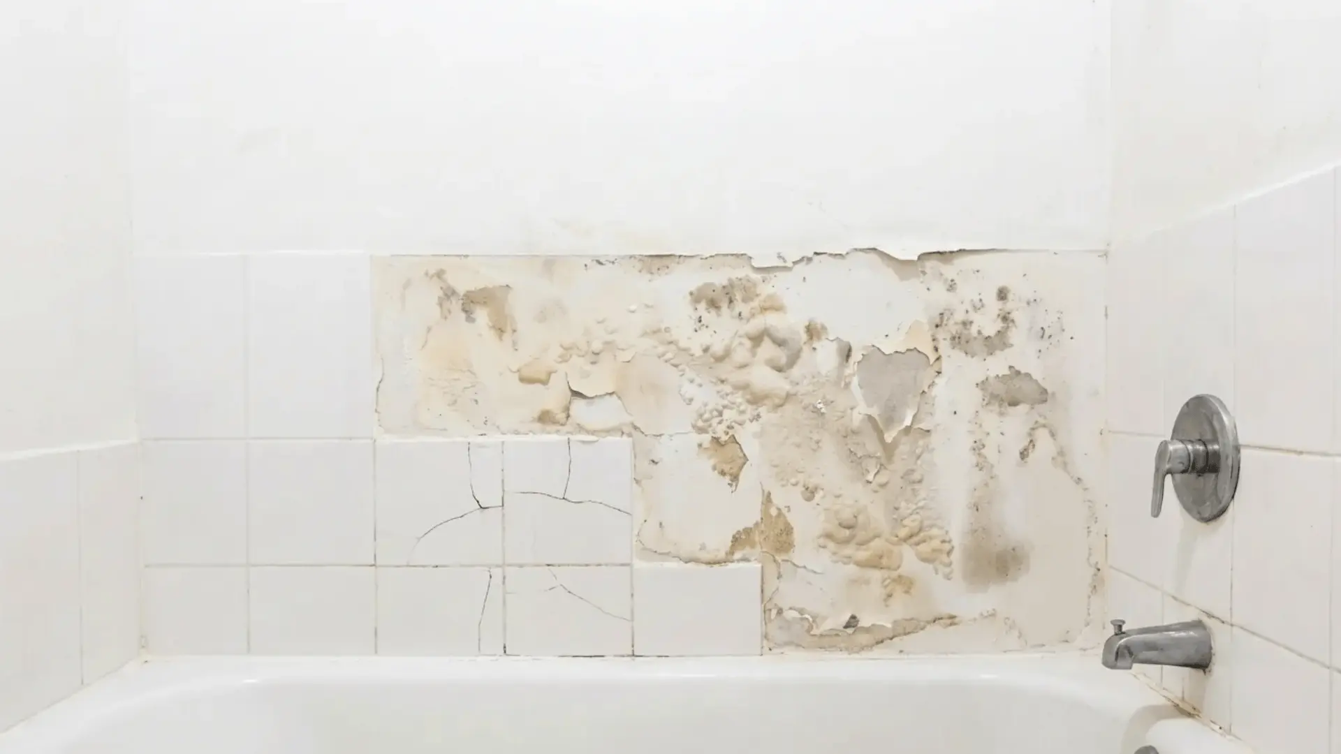 Bathtub wall with damaged tiles and visible mold, peeling paint, and moisture damage.