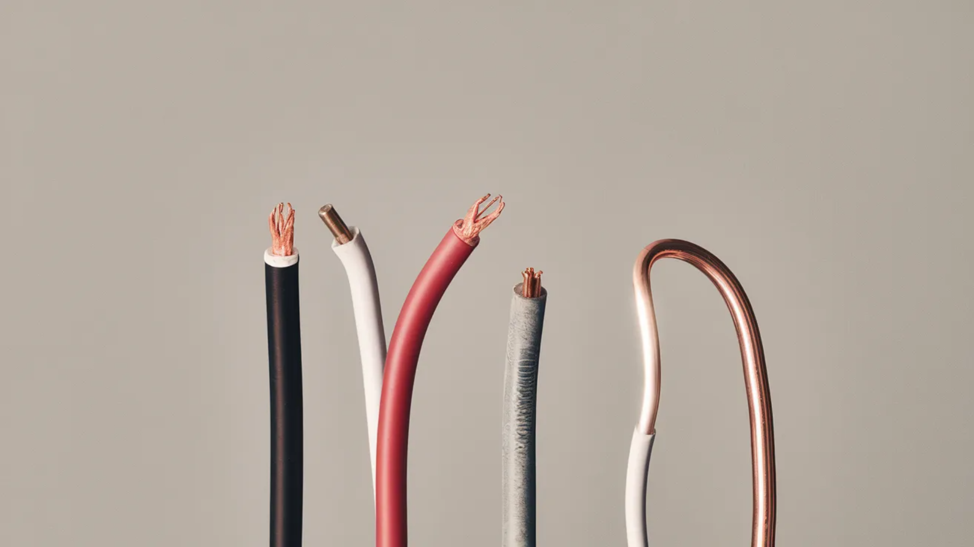 Black, red, white, and bare copper electrical wires on a solid background