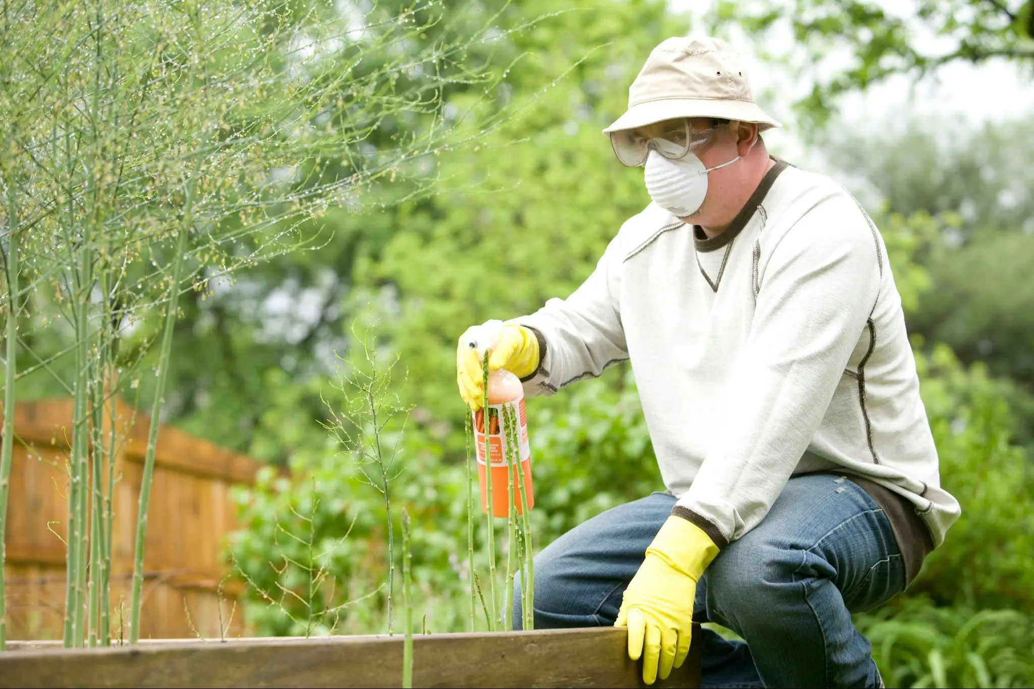 Gardener wearing protective gear spraying plants in lush outdoor garden