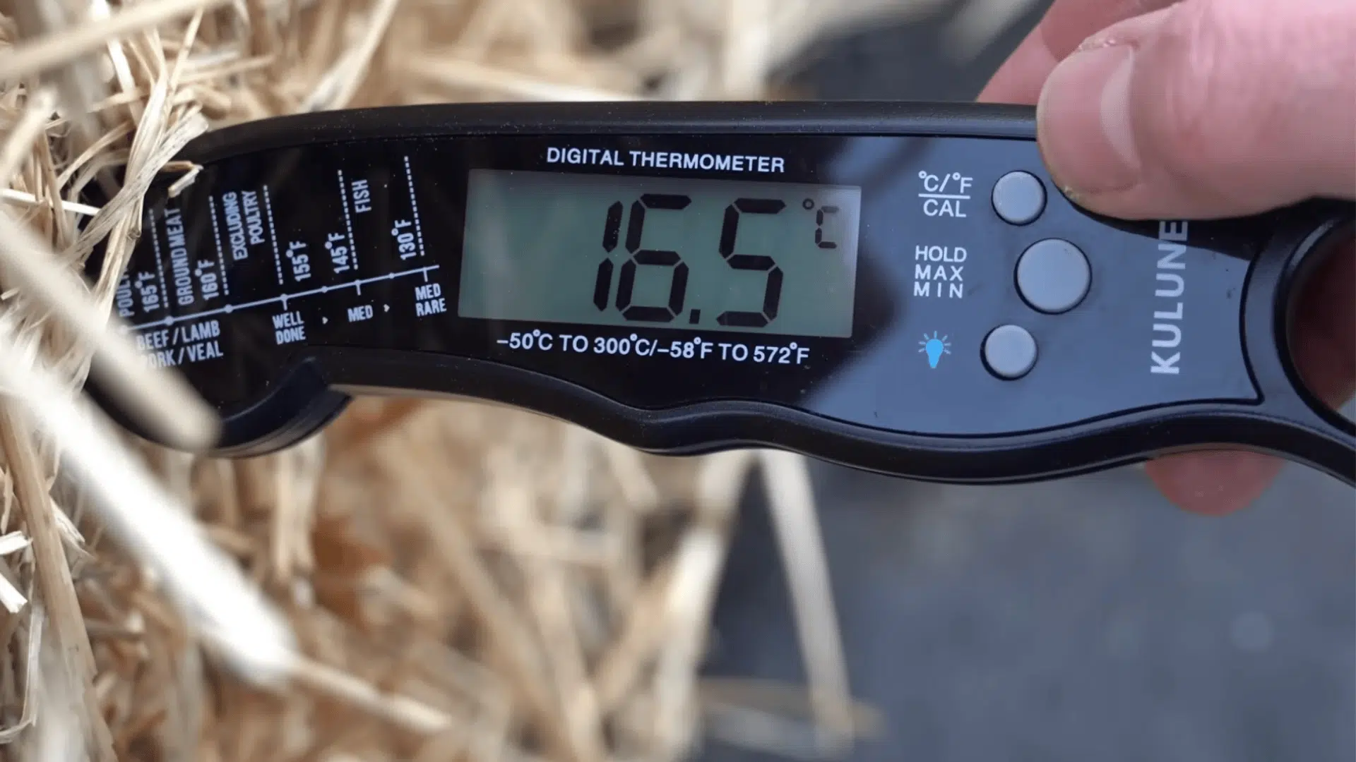 Digital thermometer reading 165°F inserted into a straw bale during garden bed preparation.