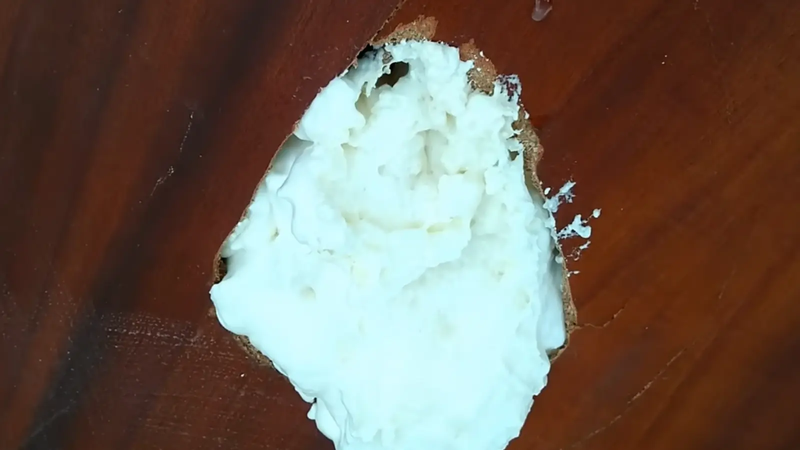 Expanded foam left to dry on a repaired door section