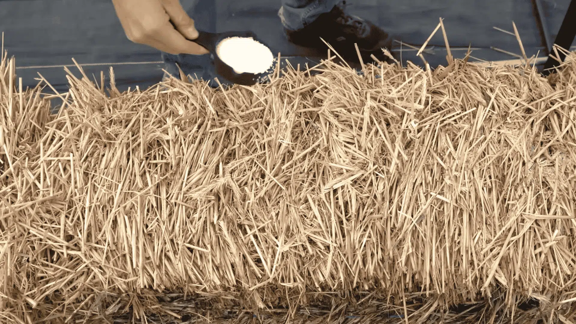 Hand sprinkling white granules onto a straw bale for garden bed preparation.