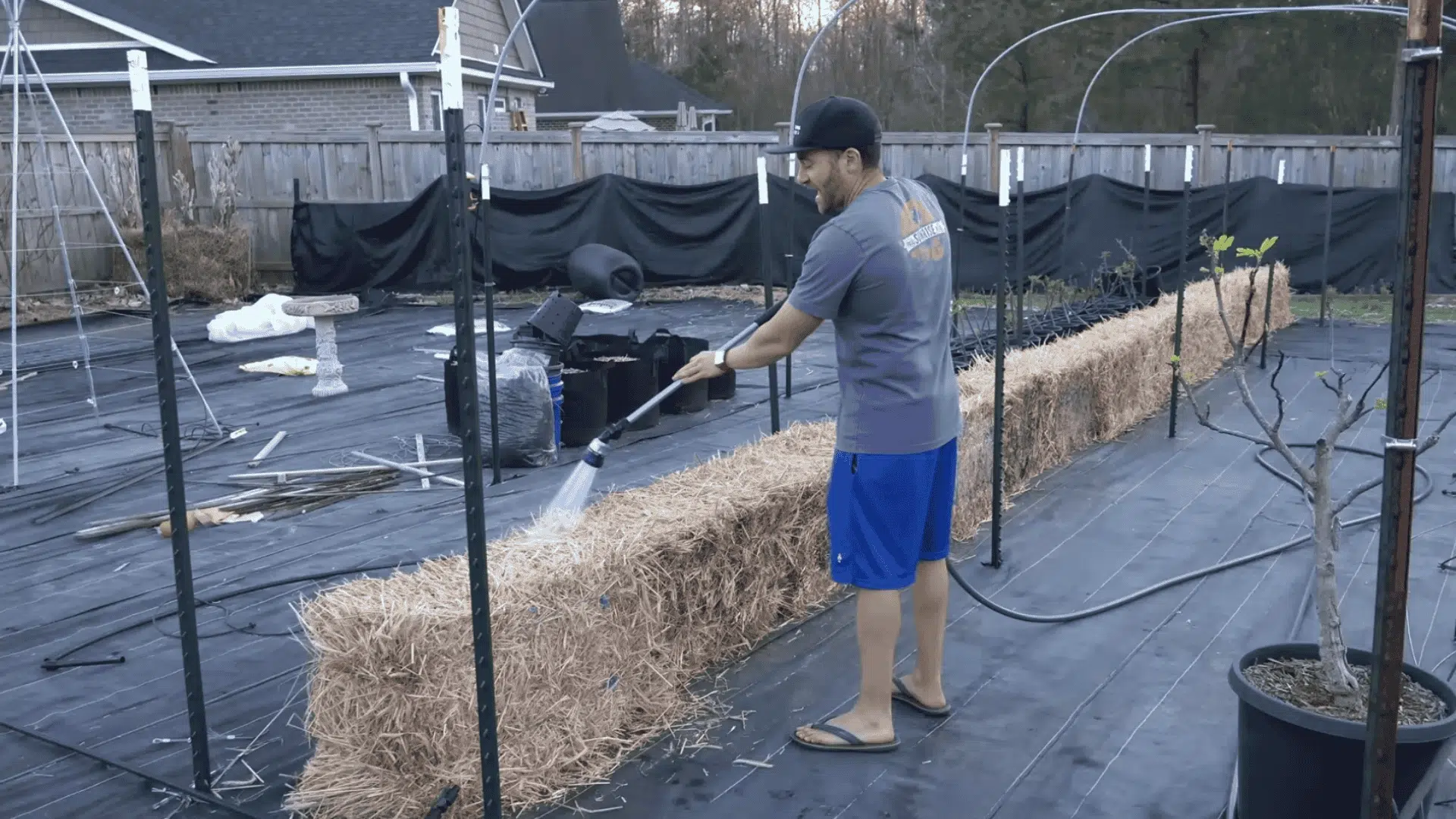 Man watering straw bale garden beds with a hose in a backyard garden setup.