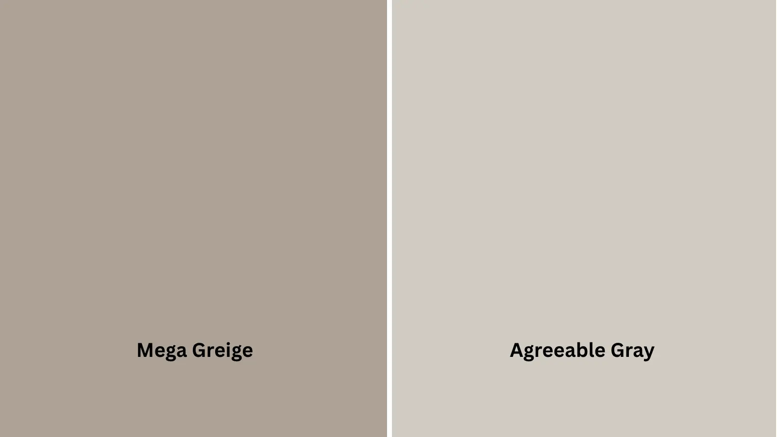Mega Greige Vs. Agreeable Gray (SW 7029) (1)